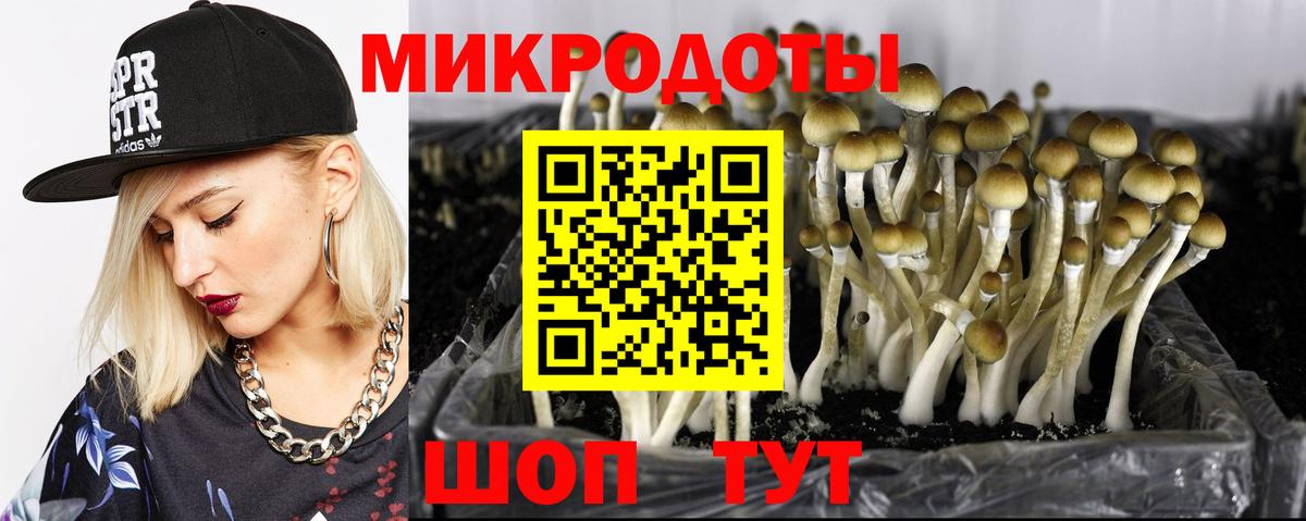 Галлюциногенные грибы MAGIC MUSHROOMS Нальчик